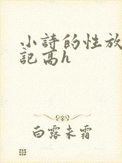 小诗的性放荡日记高h