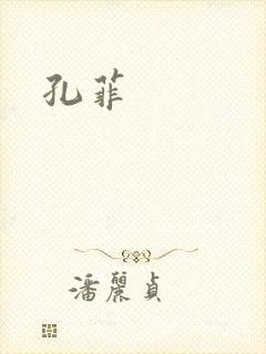 孔菲封面