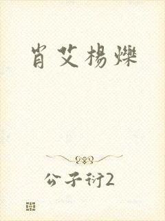 肖艾杨烁封面
