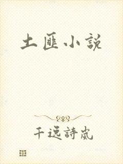 土匪小说