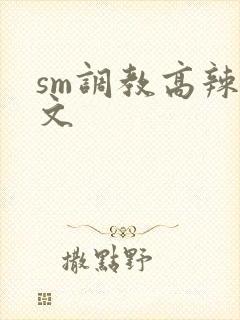 sm调教高辣h文封面