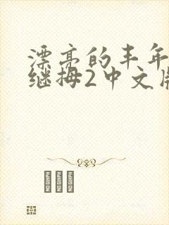 漂亮的丰年经的继拇2中文版封面