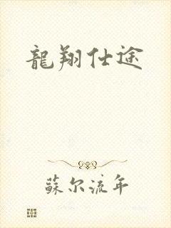 龙翔仕途封面