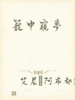 笼中窥梦