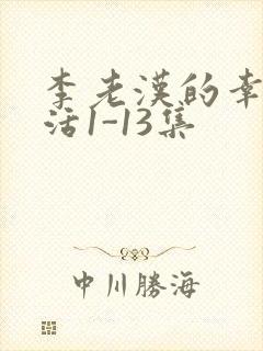 李老汉的幸福生活1-13集