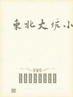东北大坑小说