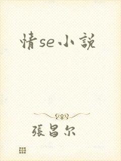情se小说封面