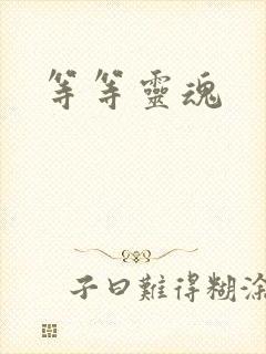 等等灵魂封面