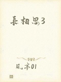 长相思3封面