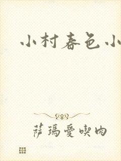 小村春色小说
