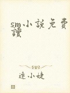 sm小说免费阅读
