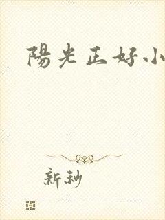 阳光正好小说