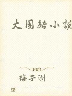大团结小说全文封面