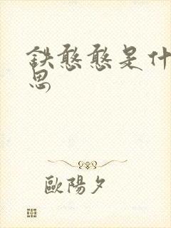 铁憨憨是什么意思封面