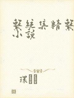 系统集精系统 小说
