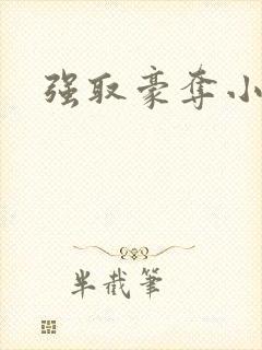强取豪夺小说