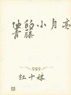 他的小月亮by青藤