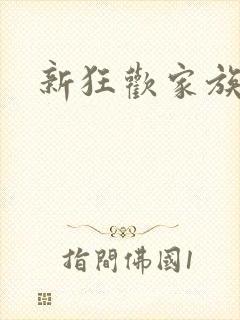 新狂欢家族小说