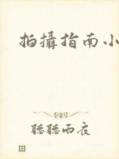 拍摄指南小说
