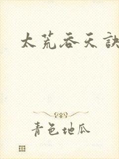 太荒吞天诀小说