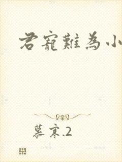 君宠难为小说封面