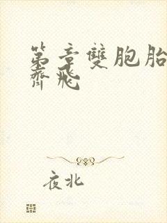 第章双胞胎姐妹齐飞