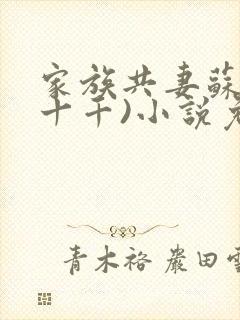 家族共妻苏苏(十千)小说免费