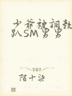 少爷被调教室跪趴SM男男封面