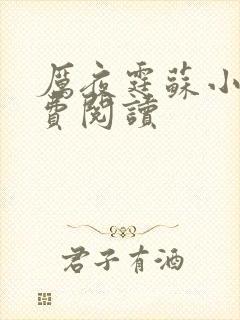 厉夜霆苏小汐免费阅读