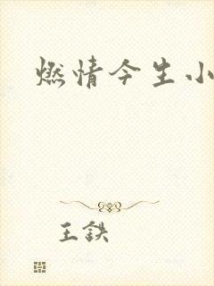 燃情今生小说