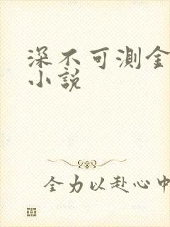 深不可测金银花小说