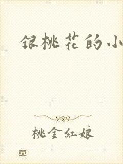 银桃花的小说封面