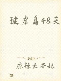 彼岸岛48天后封面