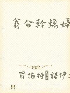翁公干熄妇封面