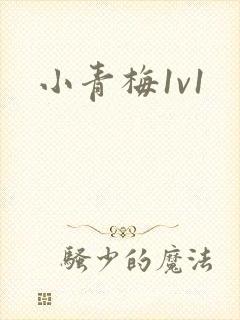 小青梅1v1