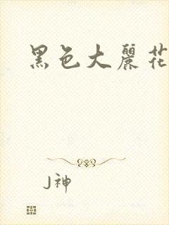 黑色大丽花图片