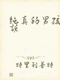 纯真的男孩子小说