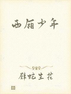 西厢少年