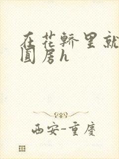 在花轿里就开始圆房h