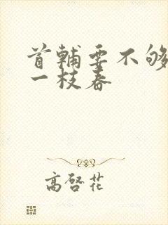 首辅要不够po一枝春封面