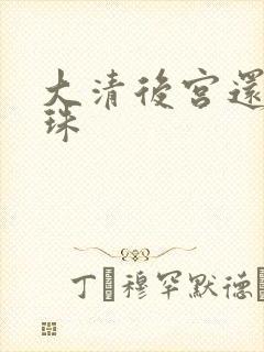 大清后宫还君明珠封面