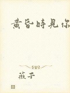 黄昏时见你封面
