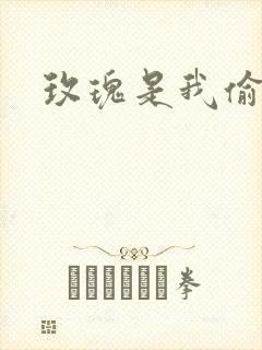 玫瑰是我偷的