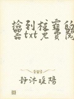 捡到校霸的遥控器txt免费阅读by阳阳