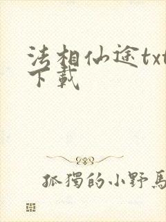 法相仙途txt下载