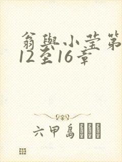 翁与小莹第十部12至16章封面