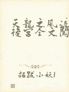 天龙之风流猎艳后宫全文阅读封面