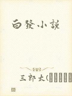 白发小说封面