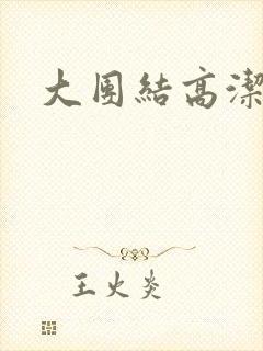 大团结高洁封面