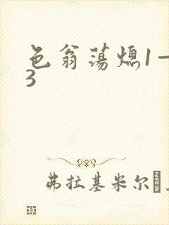 色翁荡熄1—13